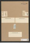 Gomphonema capitatum Ehr. (de-Toni-Nr.: Genus 37, Species 1728) Zeichnungen Sammlung Grunow Nr. 3367 (NHMW-BOT-W0370884)
